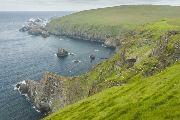 Scotland, Shetland Islands Island of Unst